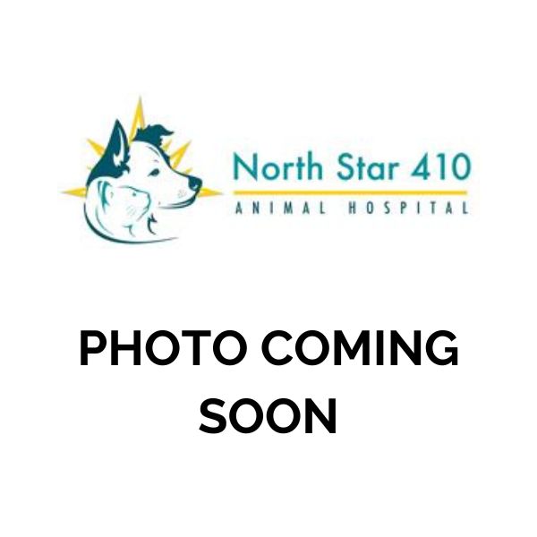 Photo Coming Soon Coming Soon