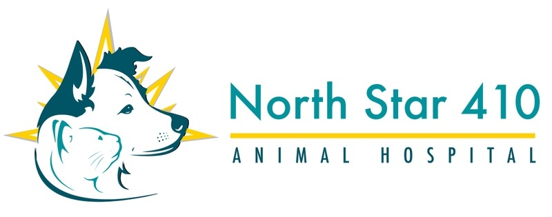 North Star 410 Animal Hospital logo